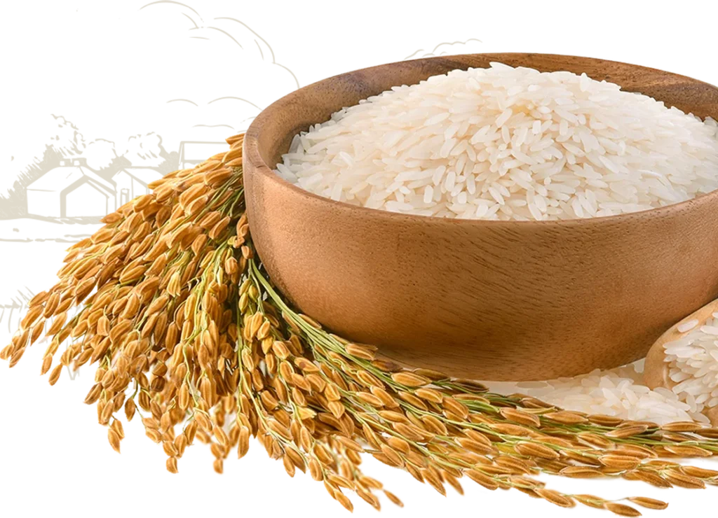 Bowl of Naga's Gold aged rice with paddy